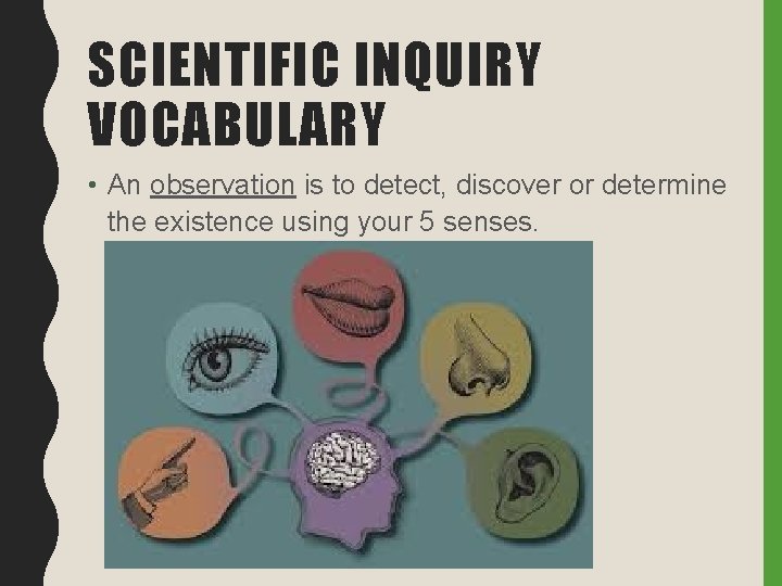 SCIENTIFIC INQUIRY VOCABULARY • An observation is to detect, discover or determine the existence