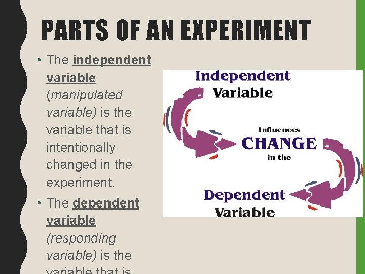 PARTS OF AN EXPERIMENT • The independent variable (manipulated variable) is the variable that