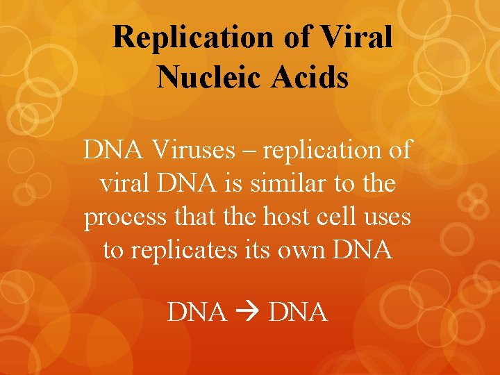 Replication of Viral Nucleic Acids DNA Viruses – replication of viral DNA is similar