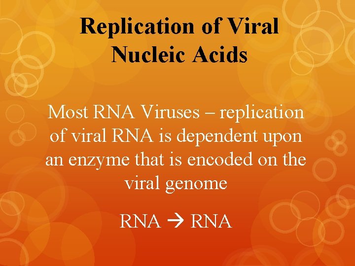 Replication of Viral Nucleic Acids Most RNA Viruses – replication of viral RNA is