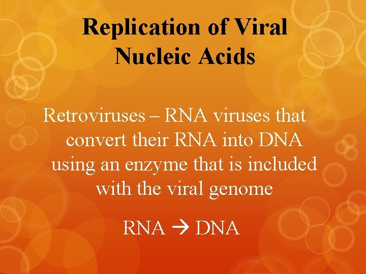 Replication of Viral Nucleic Acids Retroviruses – RNA viruses that convert their RNA into