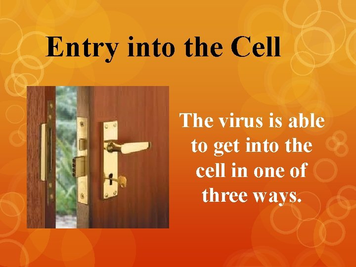 Entry into the Cell The virus is able to get into the cell in