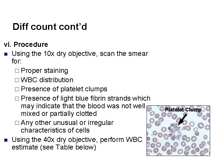 Diff count cont’d vi. Procedure n Using the 10 x dry objective, scan the