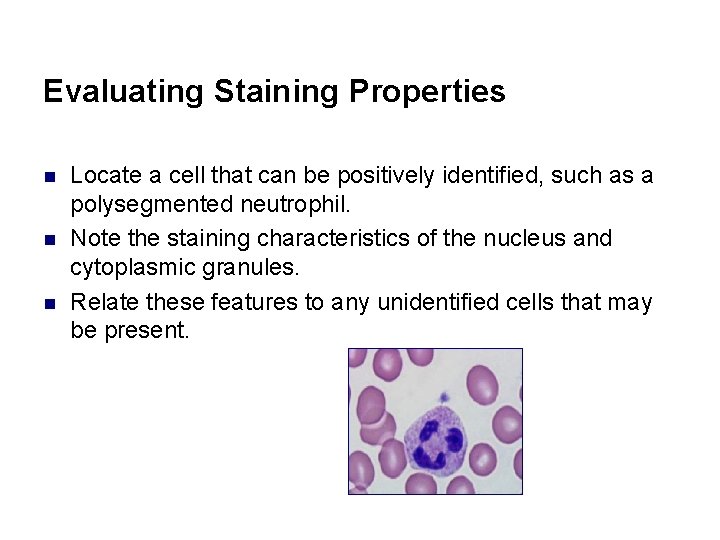 Evaluating Staining Properties n n n Locate a cell that can be positively identified,