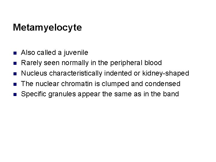Metamyelocyte n n n Also called a juvenile Rarely seen normally in the peripheral