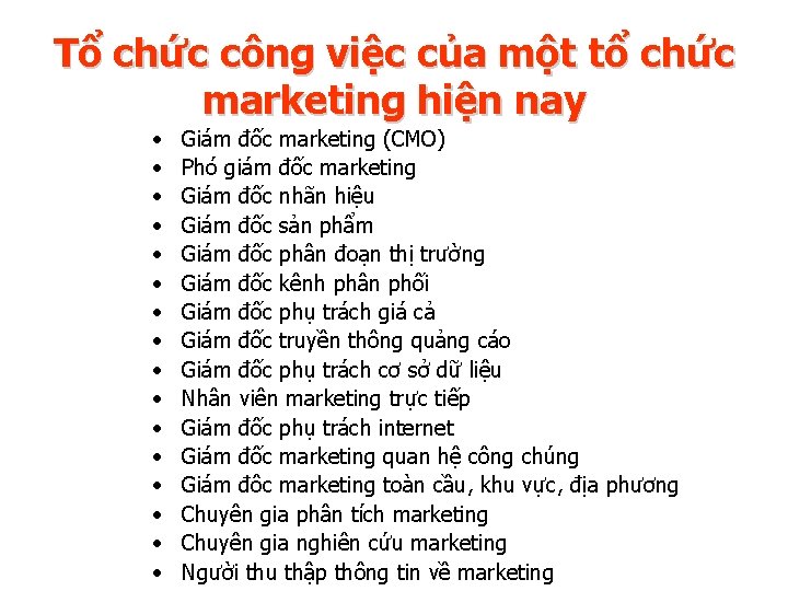 Tổ chức công việc của một tổ chức marketing hiện nay • • •