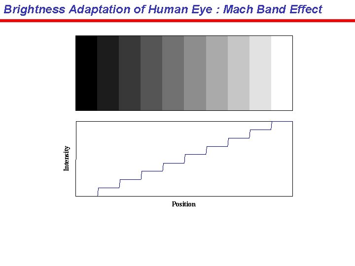 Intensity Brightness Adaptation of Human Eye : Mach Band Effect Position 