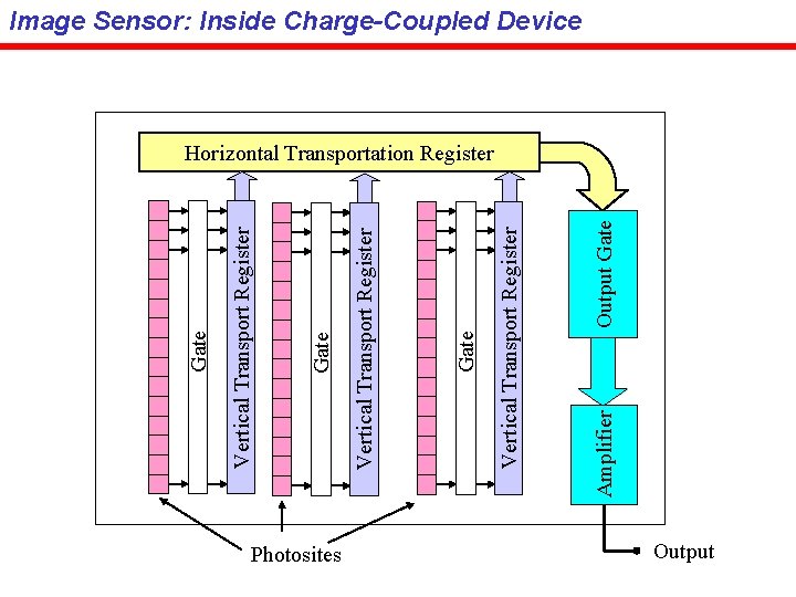 Photosites Amplifier Output Gate Vertical Transport Register Gate Image Sensor: Inside Charge-Coupled Device Horizontal