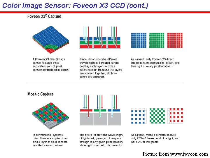 Color Image Sensor: Foveon X 3 CCD (cont. ) Picture from www. foveon. com