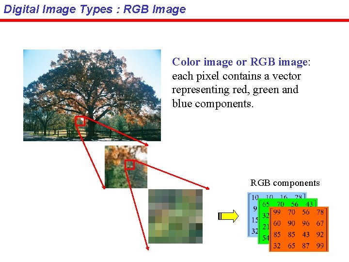 Digital Image Types : RGB Image Color image or RGB image: each pixel contains