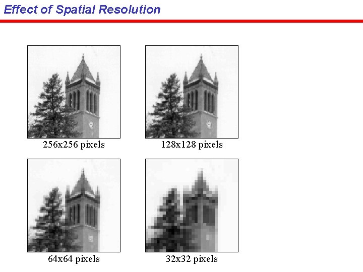 Effect of Spatial Resolution 256 x 256 pixels 128 x 128 pixels 64 x