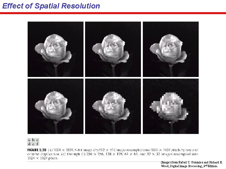 Effect of Spatial Resolution (Images from Rafael C. Gonzalez and Richard E. Wood, Digital