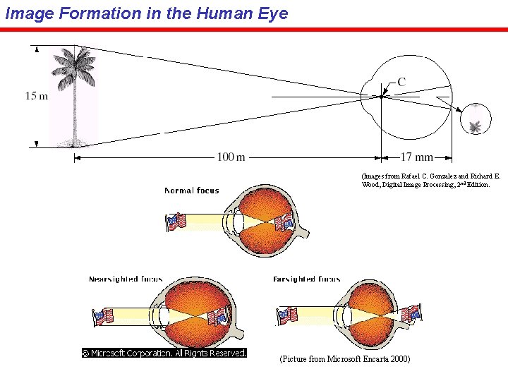 Image Formation in the Human Eye (Images from Rafael C. Gonzalez and Richard E.