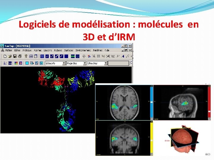 Logiciels de modélisation : molécules en 3 D et d’IRM 