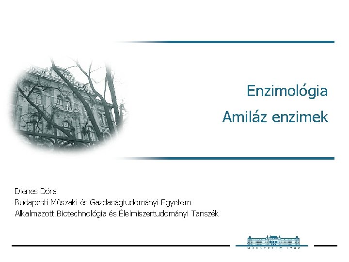 Enzimológia Amiláz enzimek Dienes Dóra Budapesti Műszaki és Gazdaságtudományi Egyetem Alkalmazott Biotechnológia és Élelmiszertudományi