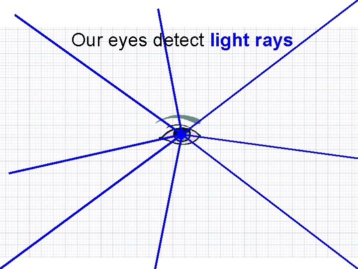 Our eyes detect light rays. 