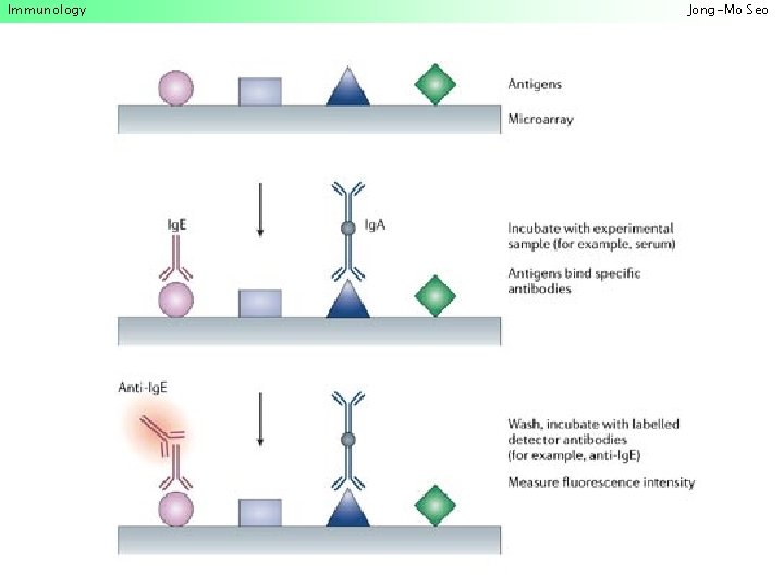 Immunology Jong-Mo Seo 