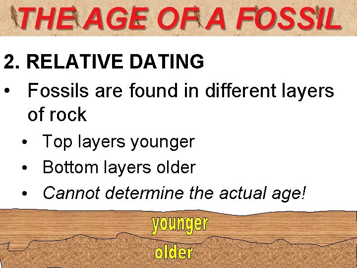 THE AGE OF A FOSSIL 2. RELATIVE DATING • Fossils are found in different