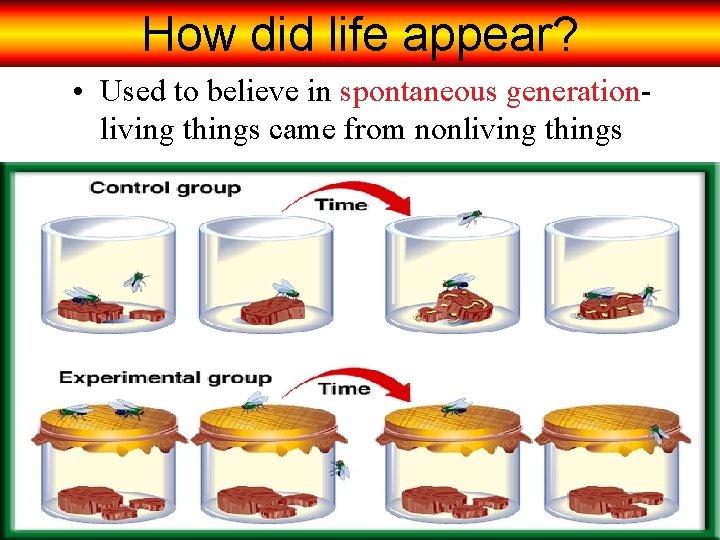 How did life appear? • Used to believe in spontaneous generationliving things came from