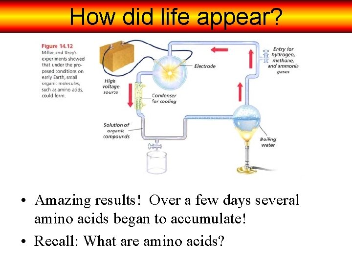 How did life appear? • Amazing results! Over a few days several amino acids