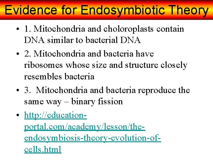 Evidence for Endosymbiotic Theory • 1. Mitochondria and choloroplasts contain DNA similar to bacterial