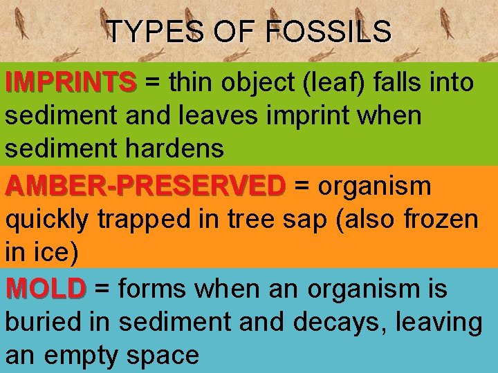 TYPES OF FOSSILS IMPRINTS = thin object (leaf) falls into sediment and leaves imprint