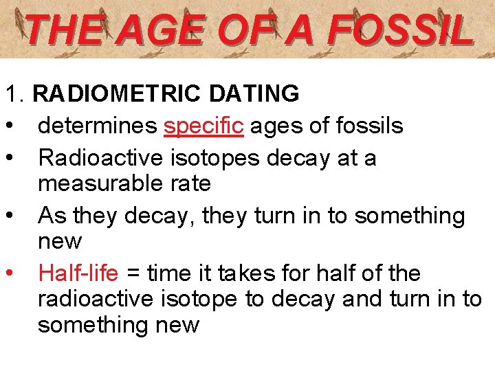 THE AGE OF A FOSSIL 1. RADIOMETRIC DATING • determines specific ages of fossils