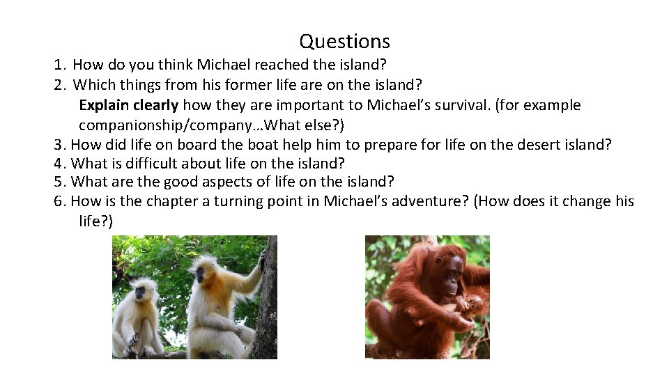 Questions 1. How do you think Michael reached the island? 2. Which things from