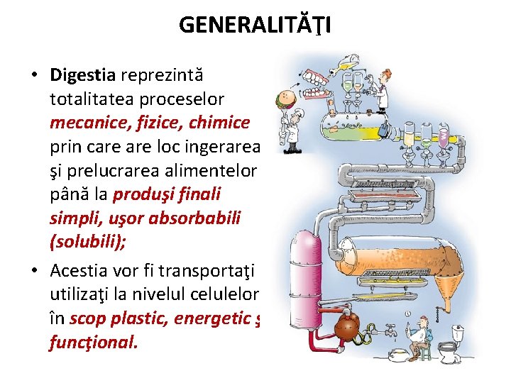 GENERALITĂŢI • Digestia reprezintă totalitatea proceselor mecanice, fizice, chimice prin care loc ingerarea şi