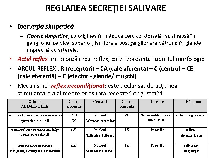 REGLAREA SECREŢIEI SALIVARE • Inervaţia simpatică – Fibrele simpatice, cu originea în măduva cervico–dorsală