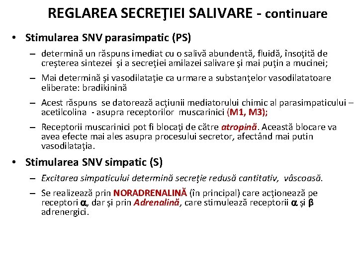 REGLAREA SECREŢIEI SALIVARE - continuare • Stimularea SNV parasimpatic (PS) – determină un răspuns