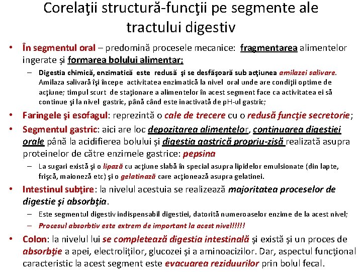 Corelaţii structură-funcţii pe segmente ale tractului digestiv • În segmentul oral – predomină procesele