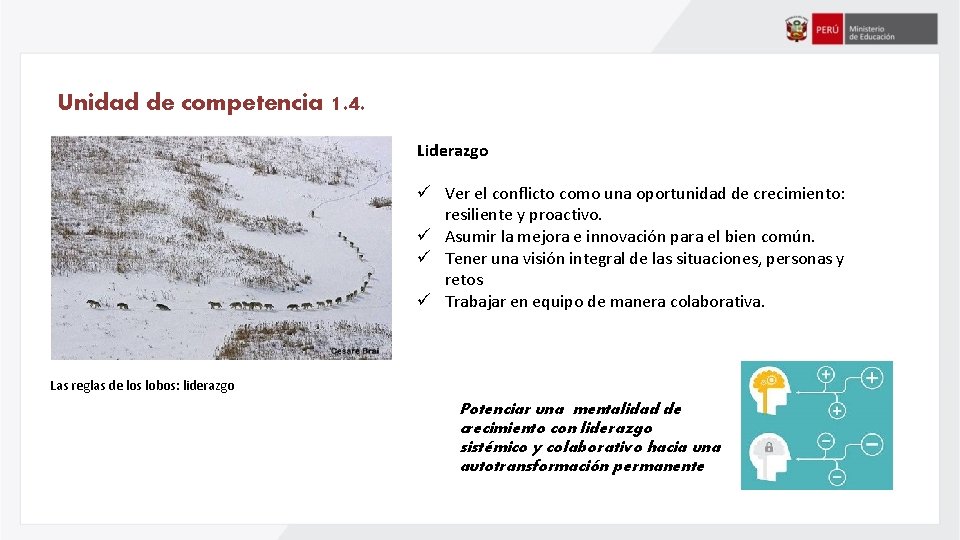 Unidad de competencia 1. 4. Liderazgo ü Ver el conflicto como una oportunidad de