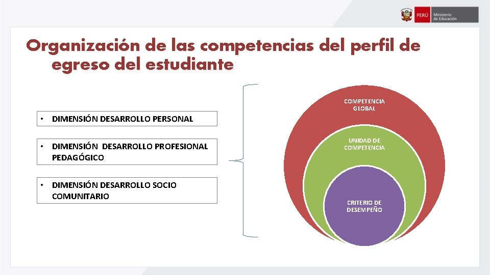 Organización de las competencias del perfil de egreso del estudiante COMPETENCIA GLOBAL • DIMENSIÓN