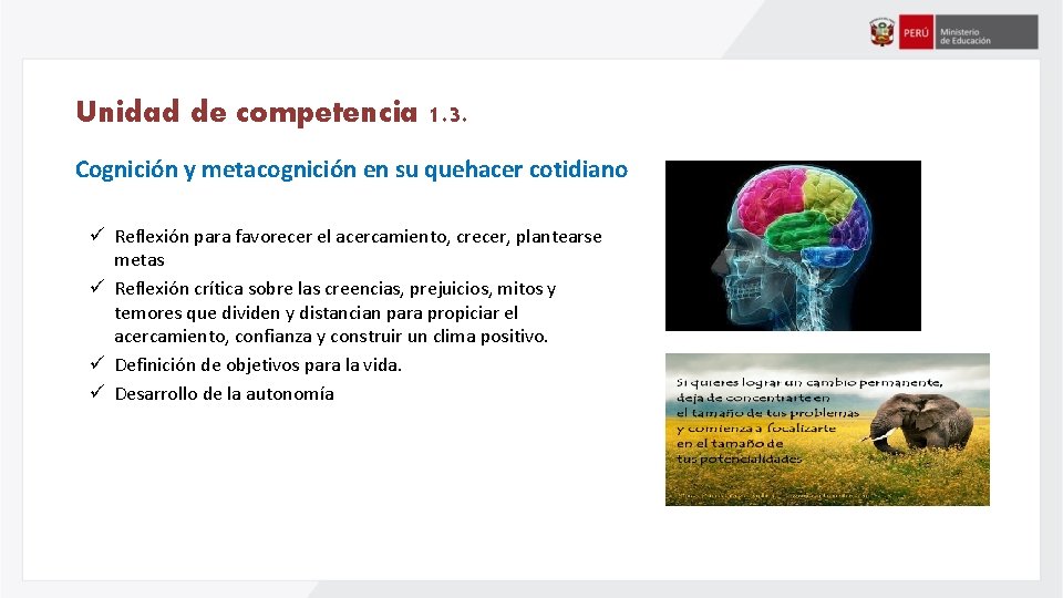 Unidad de competencia 1. 3. Cognición y metacognición en su quehacer cotidiano ü Reflexión