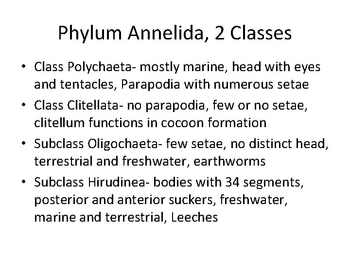 Phylum Annelida, 2 Classes • Class Polychaeta- mostly marine, head with eyes and tentacles,