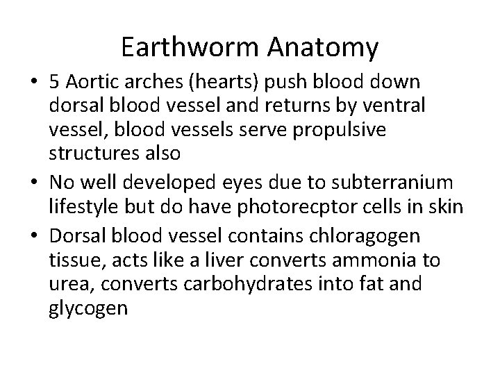 Earthworm Anatomy • 5 Aortic arches (hearts) push blood down dorsal blood vessel and
