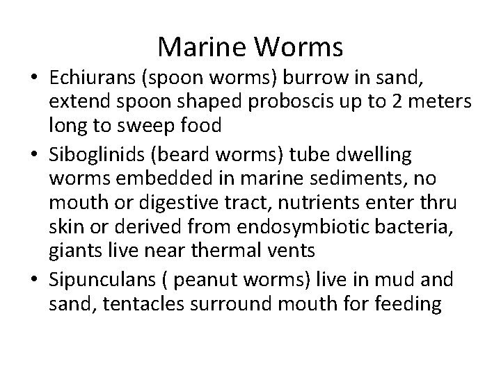 Marine Worms • Echiurans (spoon worms) burrow in sand, extend spoon shaped proboscis up