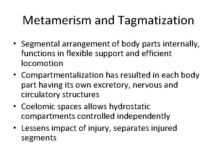 Metamerism and Tagmatization • Segmental arrangement of body parts internally, functions in flexible support