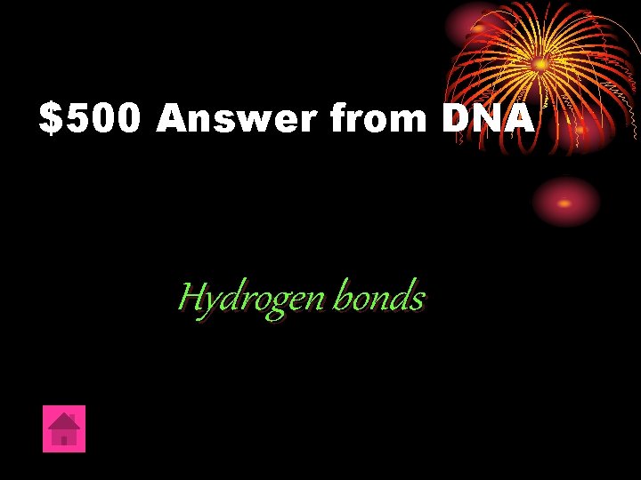 $500 Answer from DNA Hydrogen bonds 