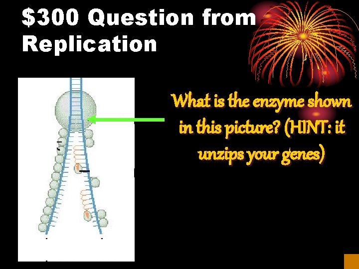 $300 Question from Replication What is the enzyme shown in this picture? (HINT: it