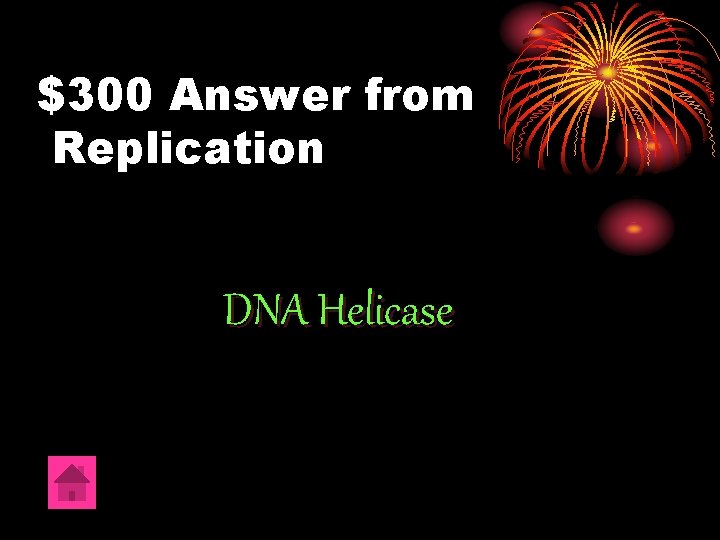 $300 Answer from Replication DNA Helicase 