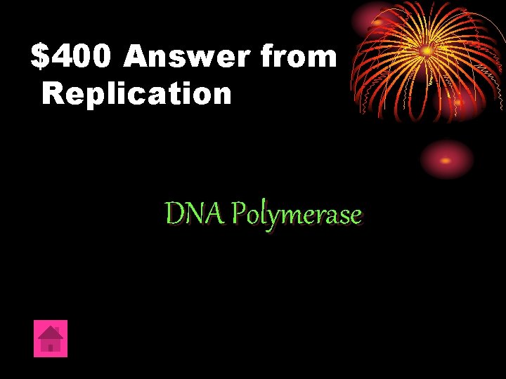 $400 Answer from Replication DNA Polymerase 