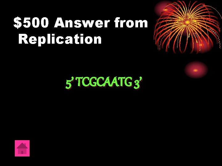 $500 Answer from Replication 5’ TCGCAATG 3’ 