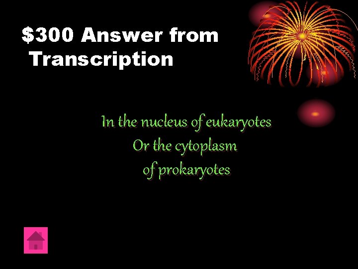 $300 Answer from Transcription In the nucleus of eukaryotes Or the cytoplasm of prokaryotes