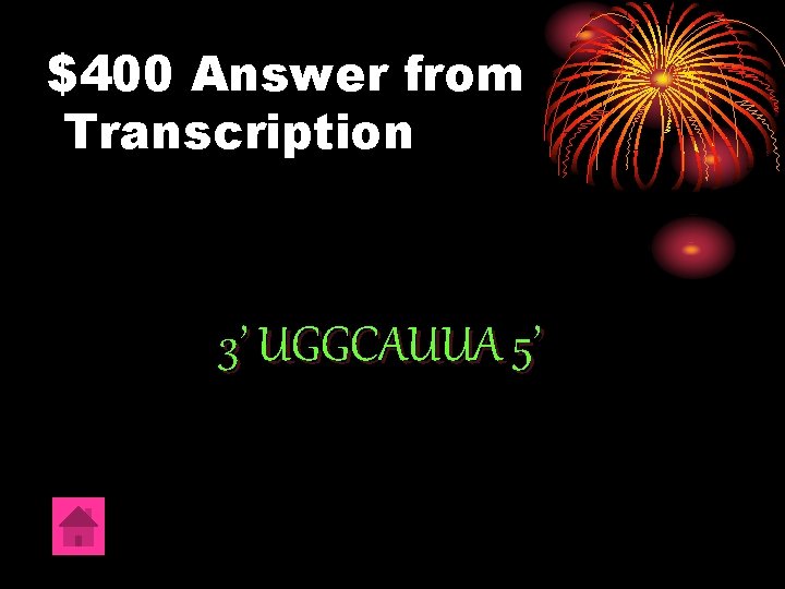 $400 Answer from Transcription 3’ UGGCAUUA 5’ 