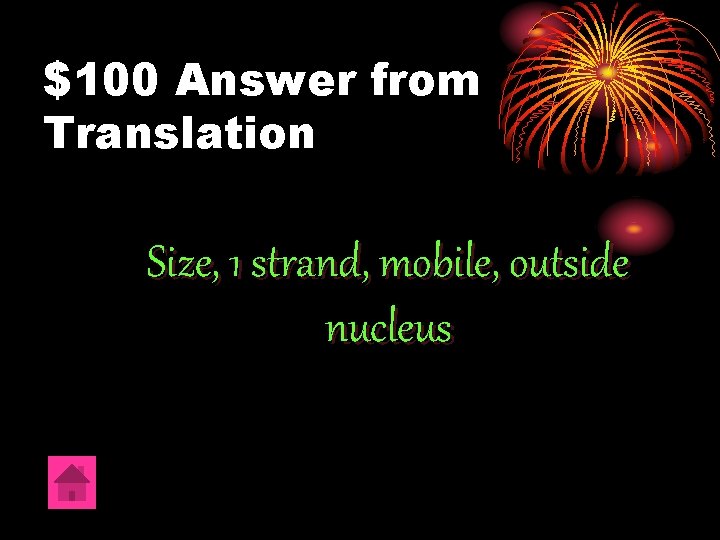 $100 Answer from Translation Size, 1 strand, mobile, outside nucleus 