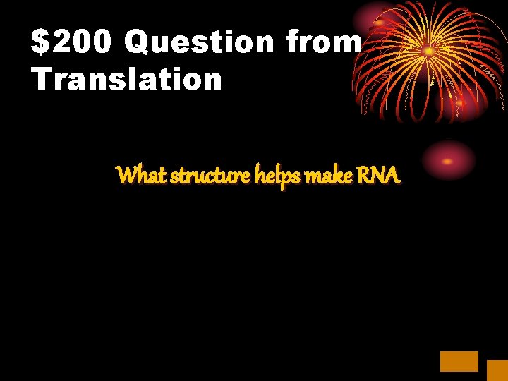 $200 Question from Translation What structure helps make RNA 