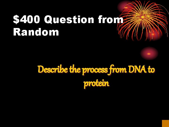 $400 Question from Random Describe the process from DNA to protein 