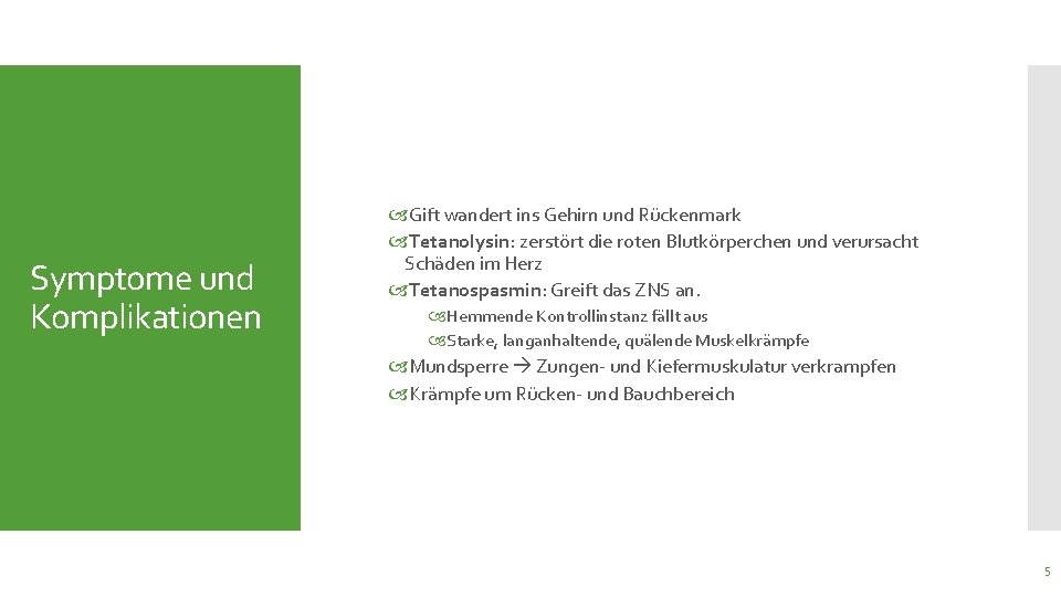 Symptome und Komplikationen Gift wandert ins Gehirn und Rückenmark Tetanolysin: zerstört die roten Blutkörperchen